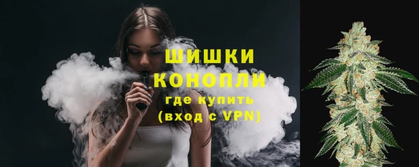 мдпв Новокубанск