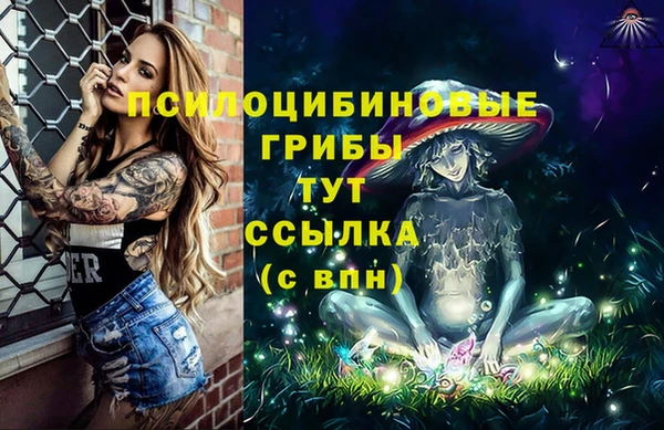 мдпв Новокубанск