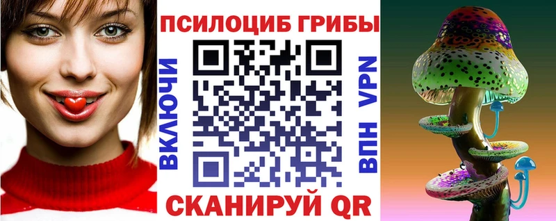 продажа наркотиков  Нововоронеж  Галлюциногенные грибы GOLDEN TEACHER 