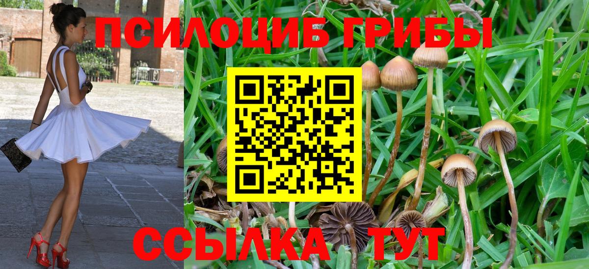 Галлюциногенные грибы мухоморы  Вход с VPN  Нововоронеж 