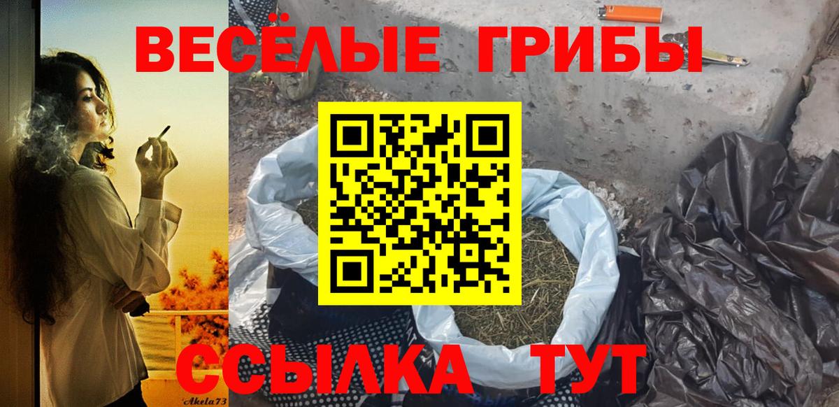 Галлюциногенные грибы мухоморы Нововоронеж