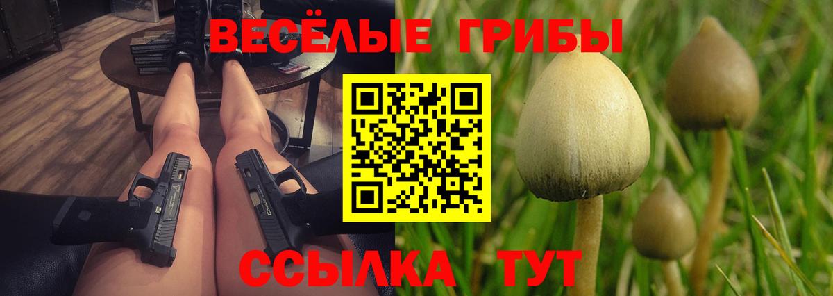 Псилоцибиновые грибы Psilocybe  Нововоронеж  Псилоцибиновые грибы ЛСД 